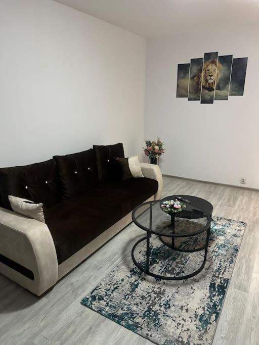 Apartament La Flo Хунедоара Экстерьер фото